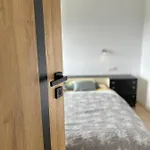 Apartamenty Adamcykowka Blisko Stoku Czorsztyn-Ski! Jacuzzi I Sauna W Cenie! *