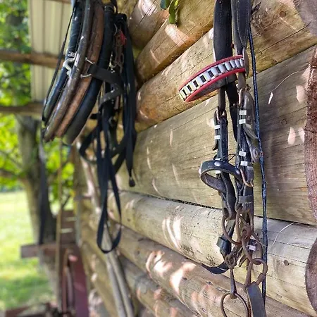 Adamcykowka Blisko Stoku Czorsztyn-ski! Jacuzzi I Sauna W Cenie!