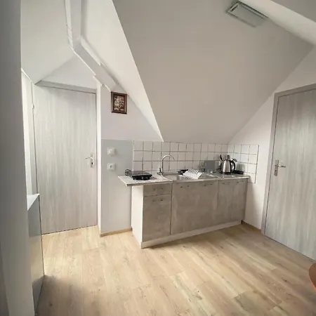 Adamcykowka Blisko Stoku Czorsztyn-ski! Jacuzzi I Sauna W Cenie! مزرعة للإقامة كلوزكوفتس