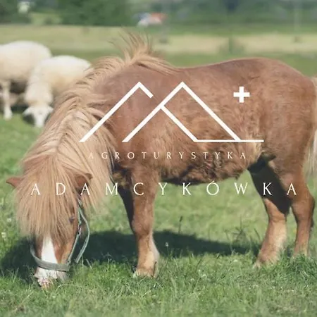 Vakantieboerderij Adamcykowka Blisko Velo Czorsztyn! Kluszkowce