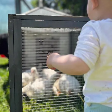 Séjour à la ferme Adamcykowka Blisko Velo Czorsztyn! *