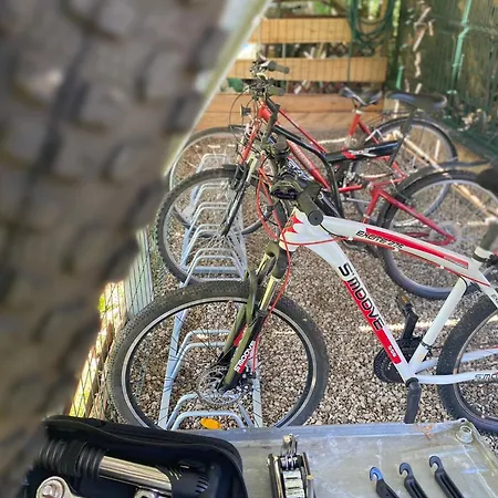 Séjour à la ferme Adamcykowka Blisko Velo Czorsztyn! Kluszkowce