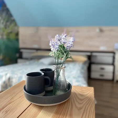 Apartamenty Adamcykowka Blisko Stoku Czorsztyn-Ski! Jacuzzi I Sauna W Cenie! *