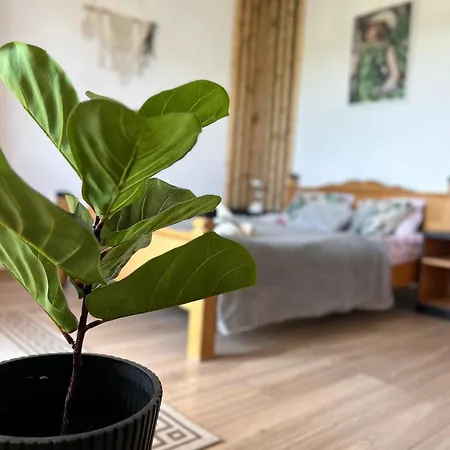 Bauernhof Apartamenty Adamcykowka Blisko Stoku Czorsztyn-Ski! Jacuzzi I Sauna W Cenie! *